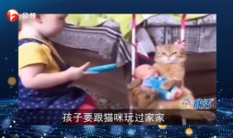 爆笑短视频,让你瞬间忘却烦恼